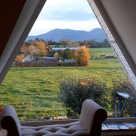 Annaswood B&B Cahir Eksteriør billede