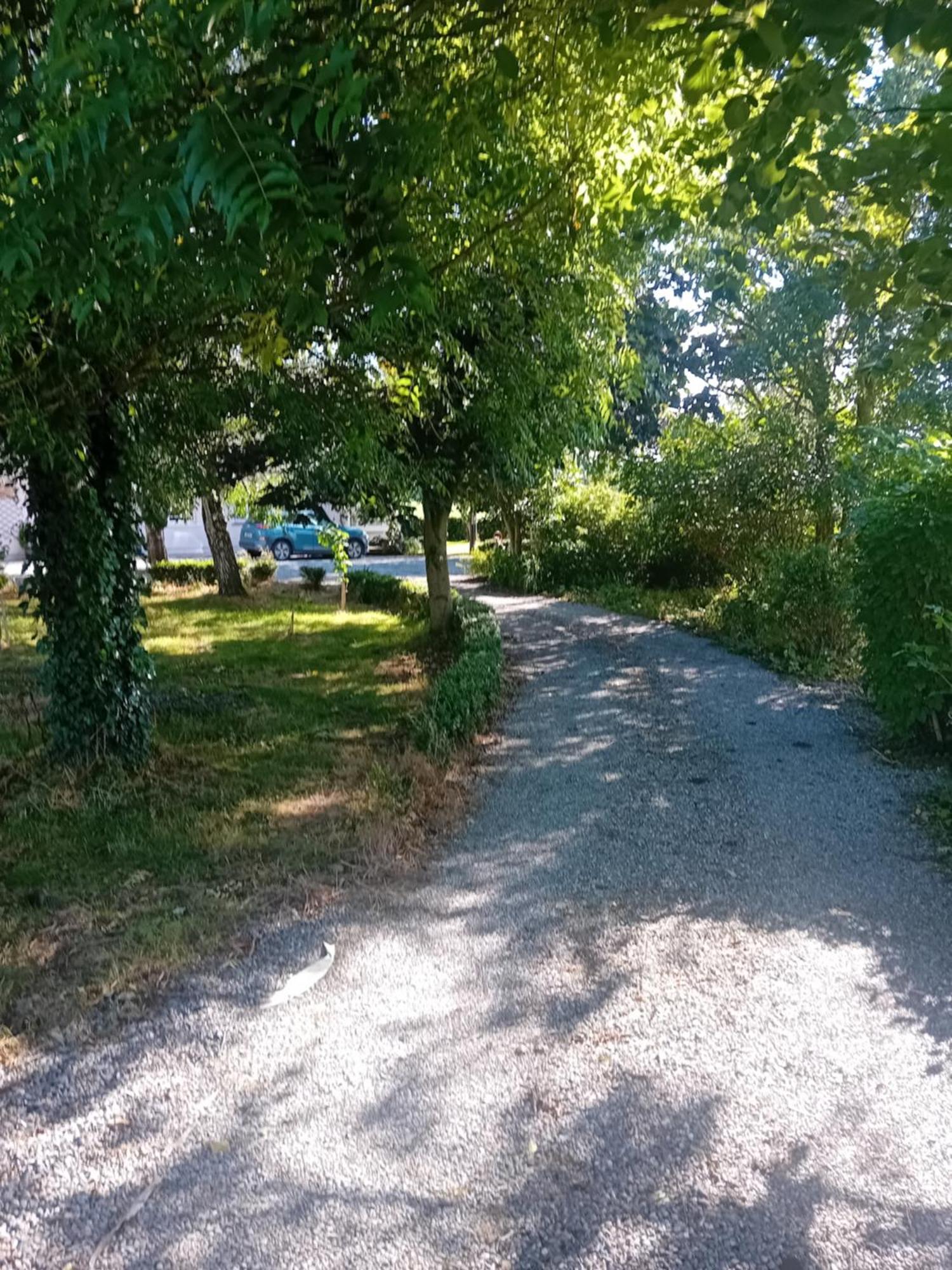 Annaswood B&B Cahir Eksteriør billede