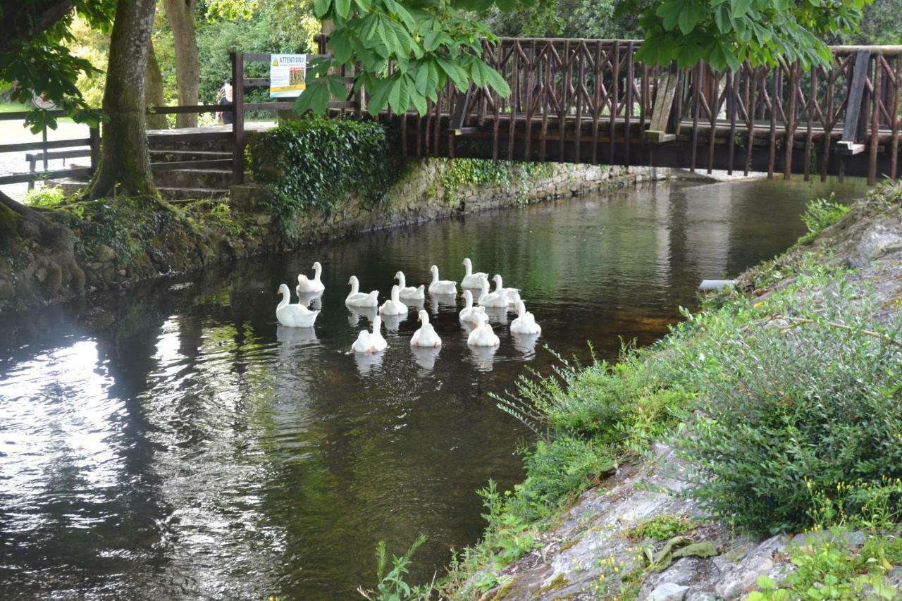 Annaswood B&B Cahir Eksteriør billede