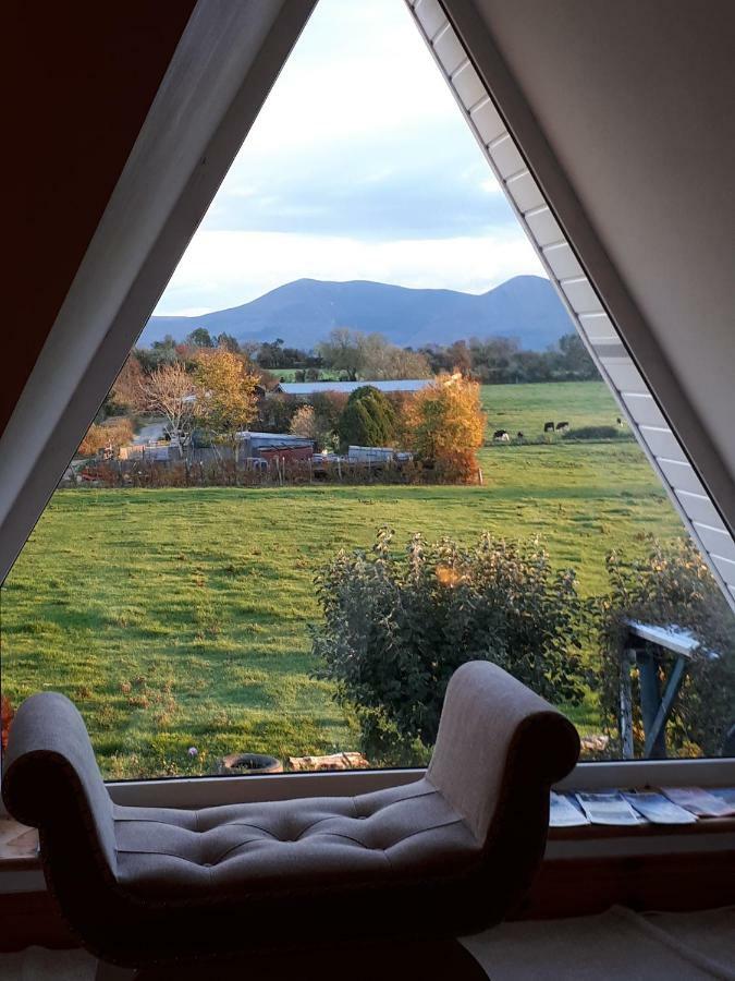 Annaswood B&B Cahir Eksteriør billede